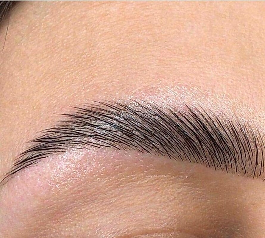 Брови и ресницы