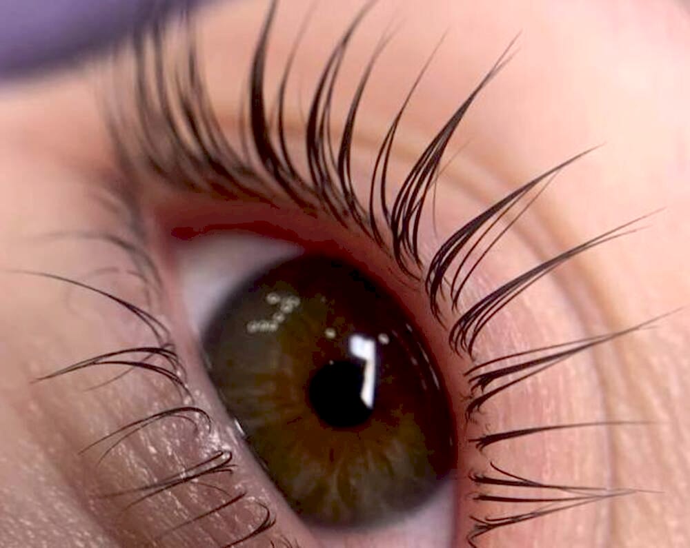 Брови и ресницы