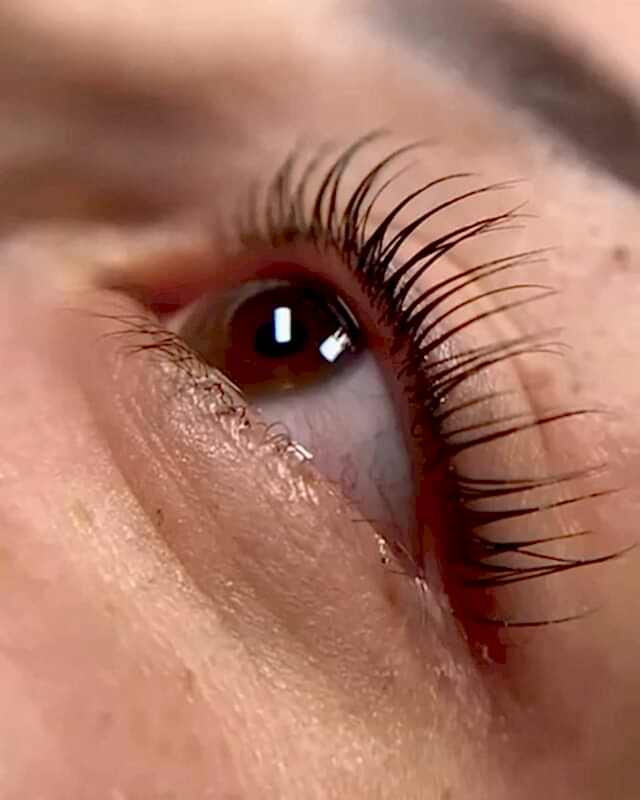 Брови и ресницы