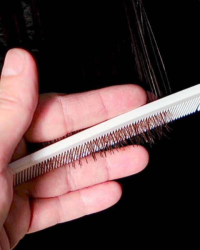 photo-5285061948012094556-y