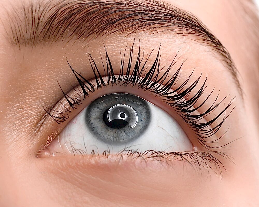 photo-5238157692507983379-y