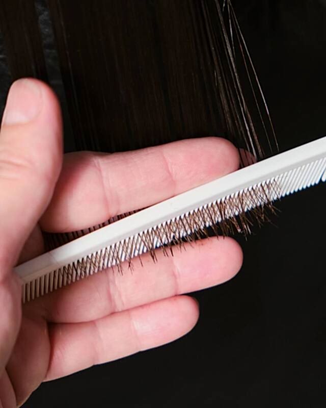 photo-5285061948012094556-y